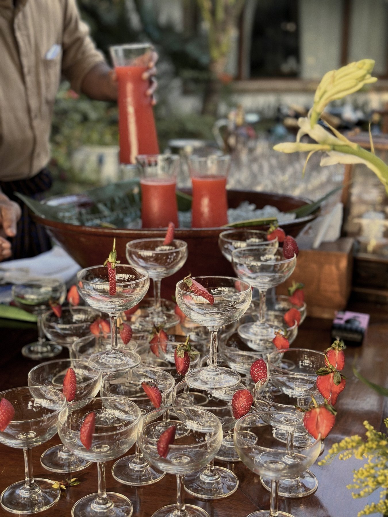 Coupe glasses with strawberries
